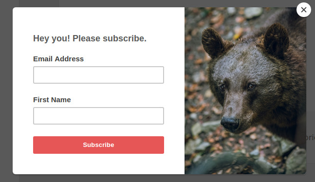 a pop-up form to your WooCommerce store from Mailchimp - Mailchimp for WordPress